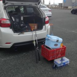 アジのサイズが良くなりました　下関フィッシングパーク